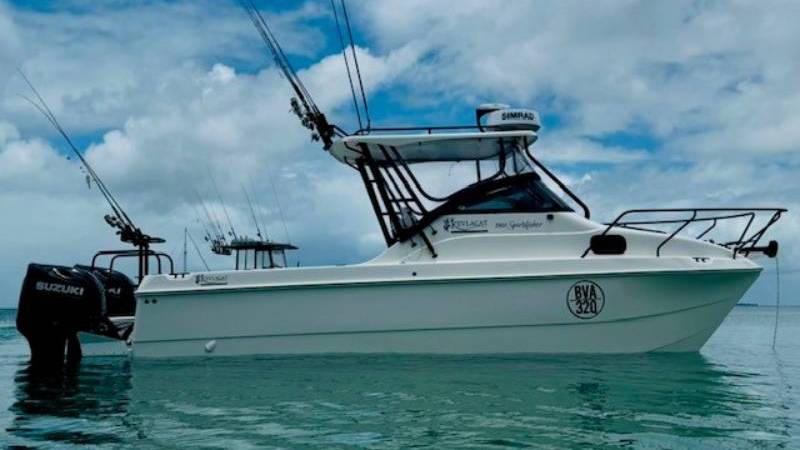 2400 Series Kevlacat